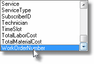 HelpFilesServiceRequestLocateFieldValueFieldNameOptions