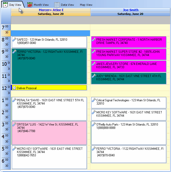 HelpFilesTechnicianSchedulingAppointmentsViewDayView