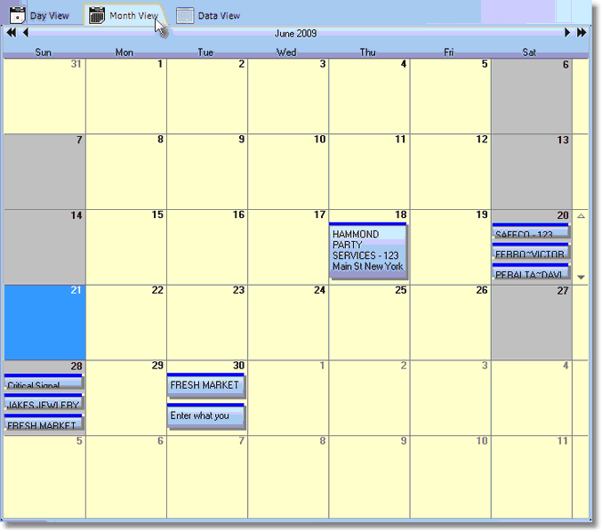 helpFilesTechnicianSchedulingMonthTab