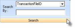 HelpFilesTransactionFileFormSearch