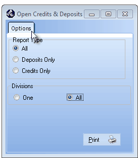 HelpFilesUnallocatedReceipts&CreditsReportdialog